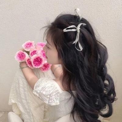少年天子
