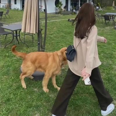 罪无可赦