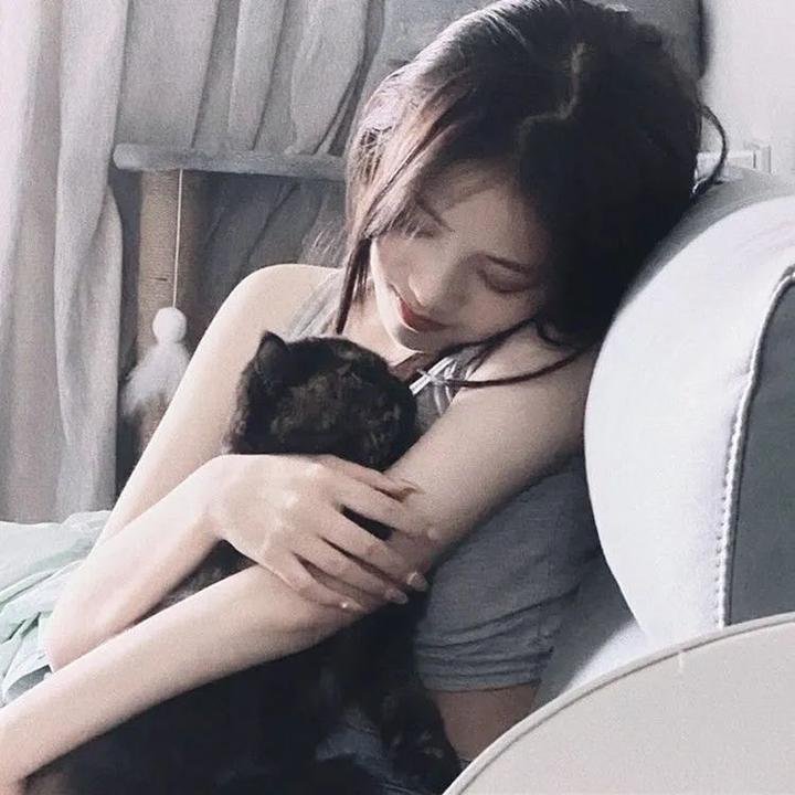 怪医杜立德